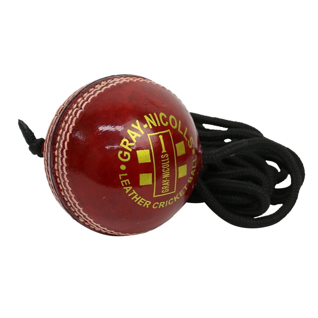 Batting Master Leather Ball